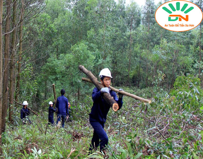 Kiểu dáng quần áo bảo hộ lâm nghiệp